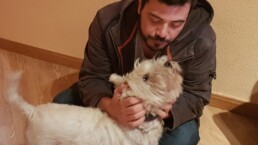 Mascota