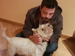 Mascota