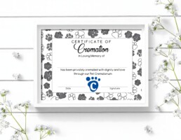 certificado de cremación de mascotas