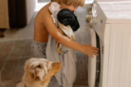 subir-homenaje-de-mascota